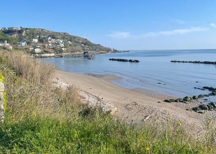 Bellavista Фоссачезия